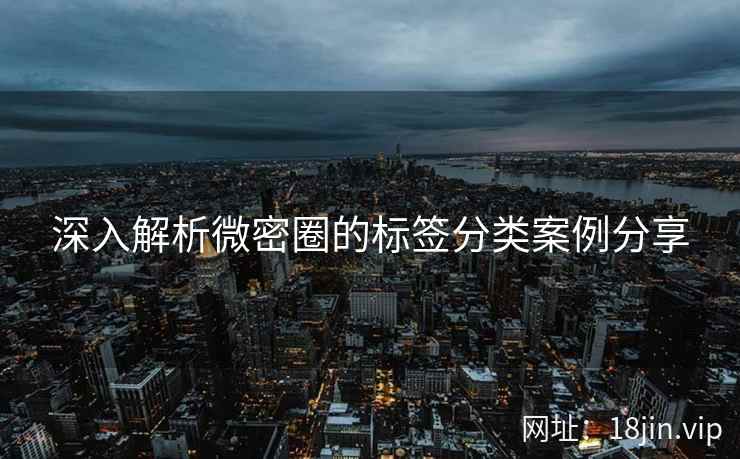 深入解析微密圈的标签分类案例分享